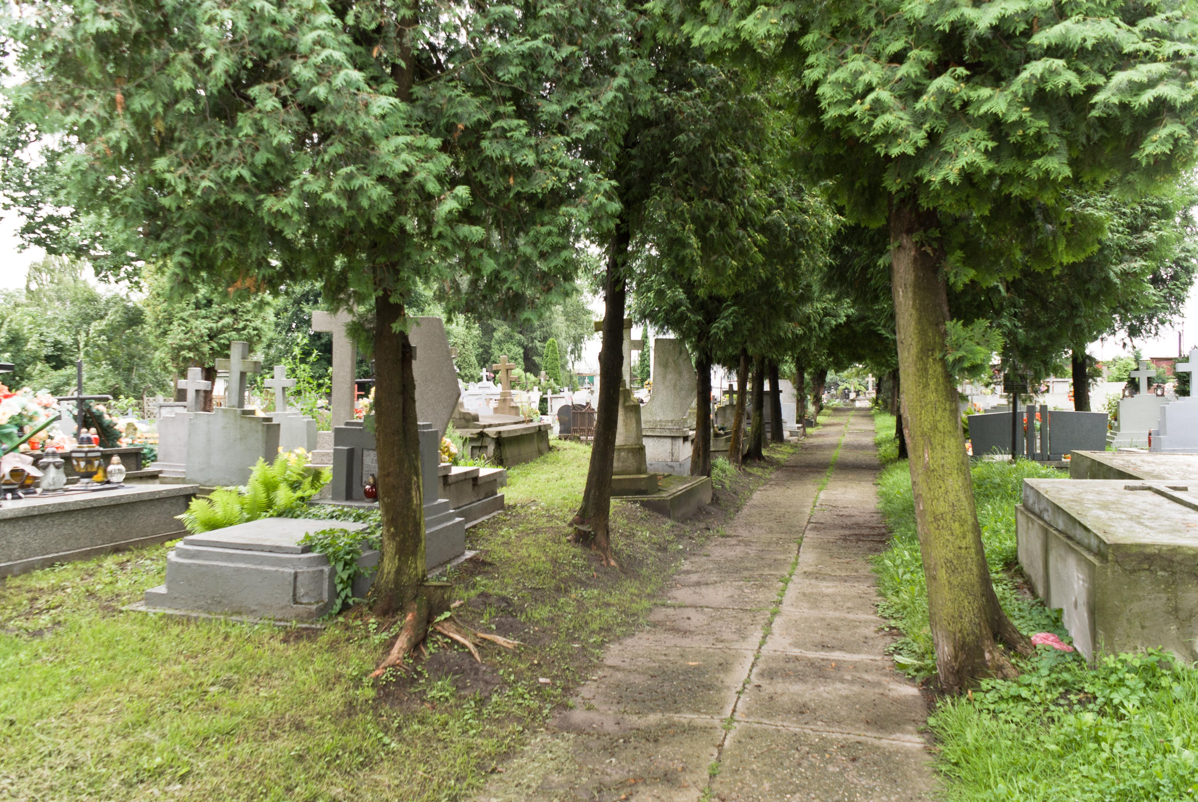 Cmentarz parafialny w Medyce